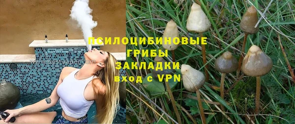 spice Волосово